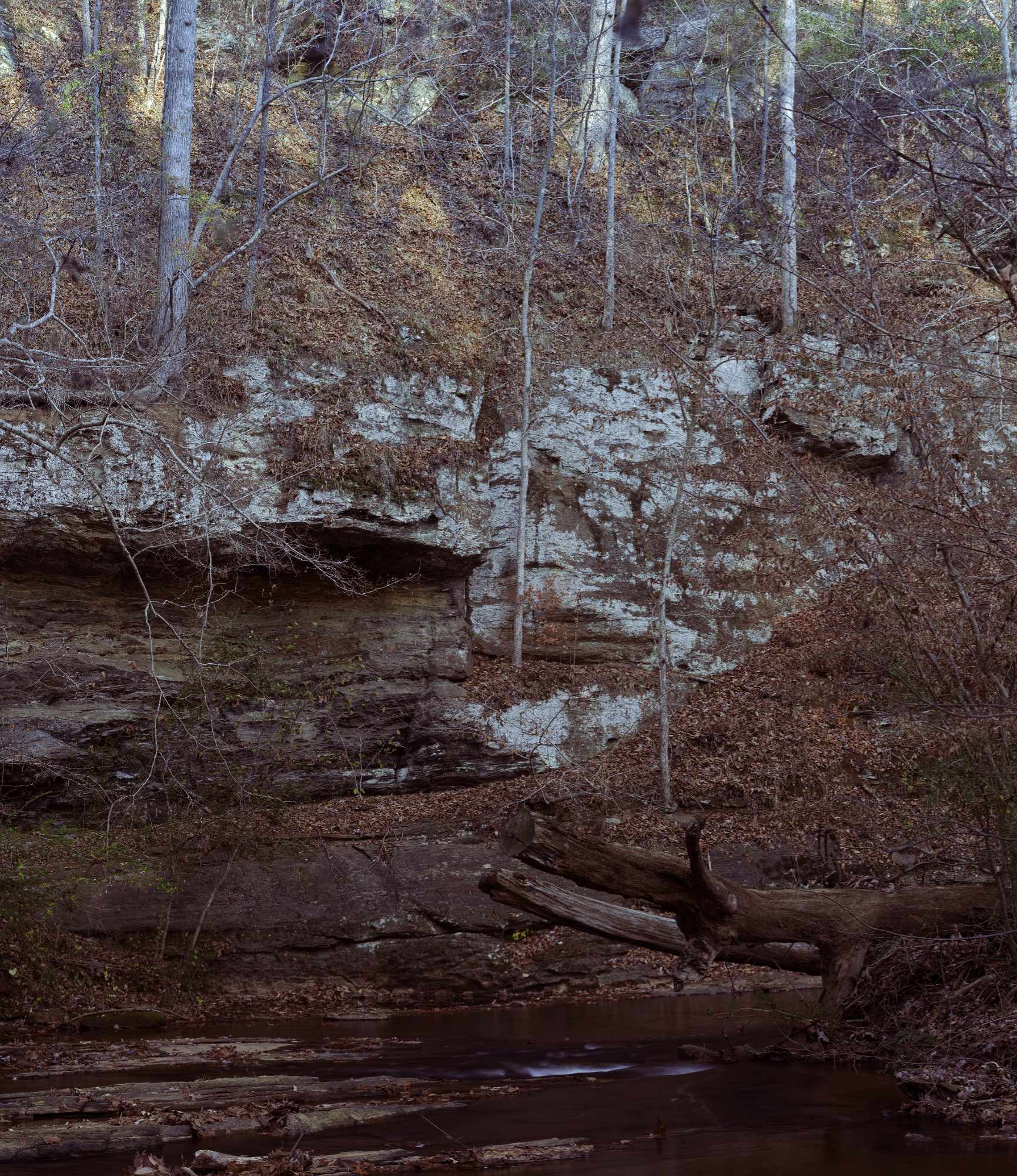 Caney Creek Cliff side