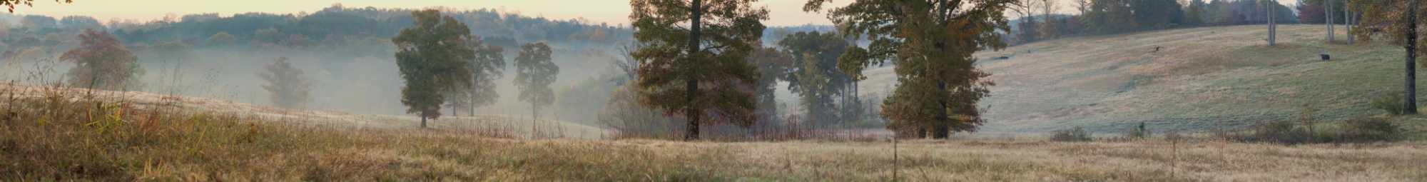 Caney Creek – Fall Field Pano
