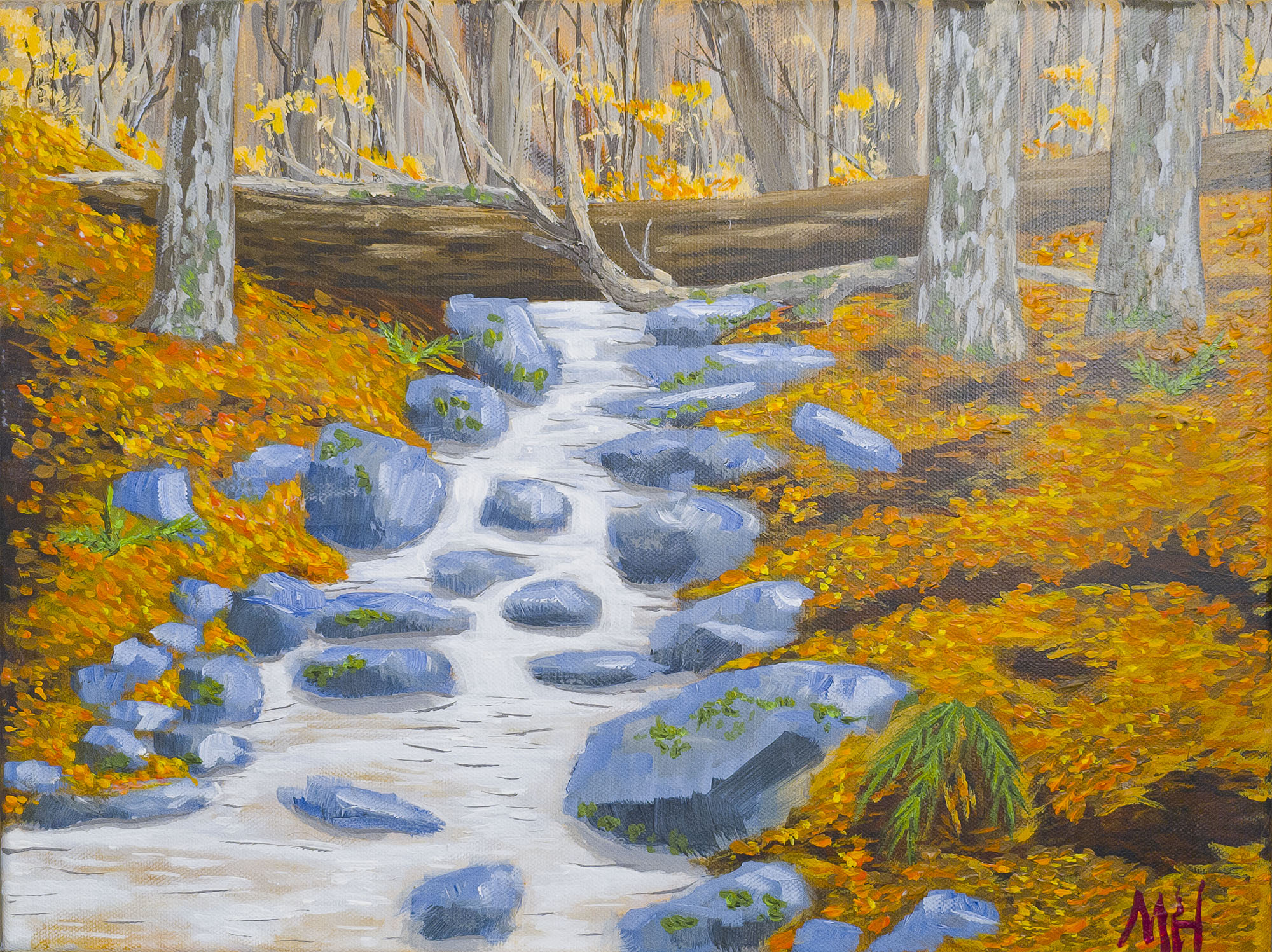 Little Mulberry Stream