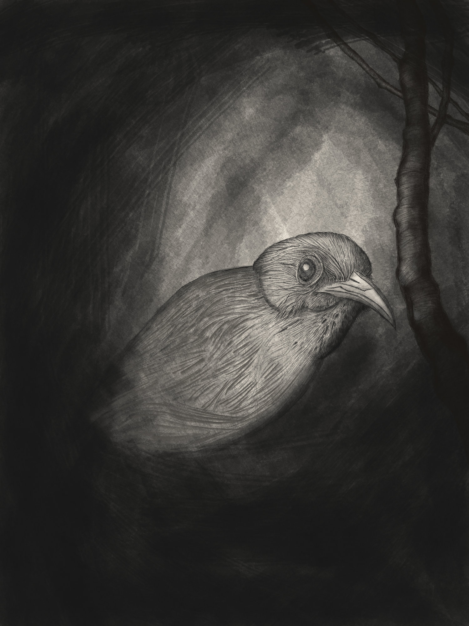 Facing the Silence