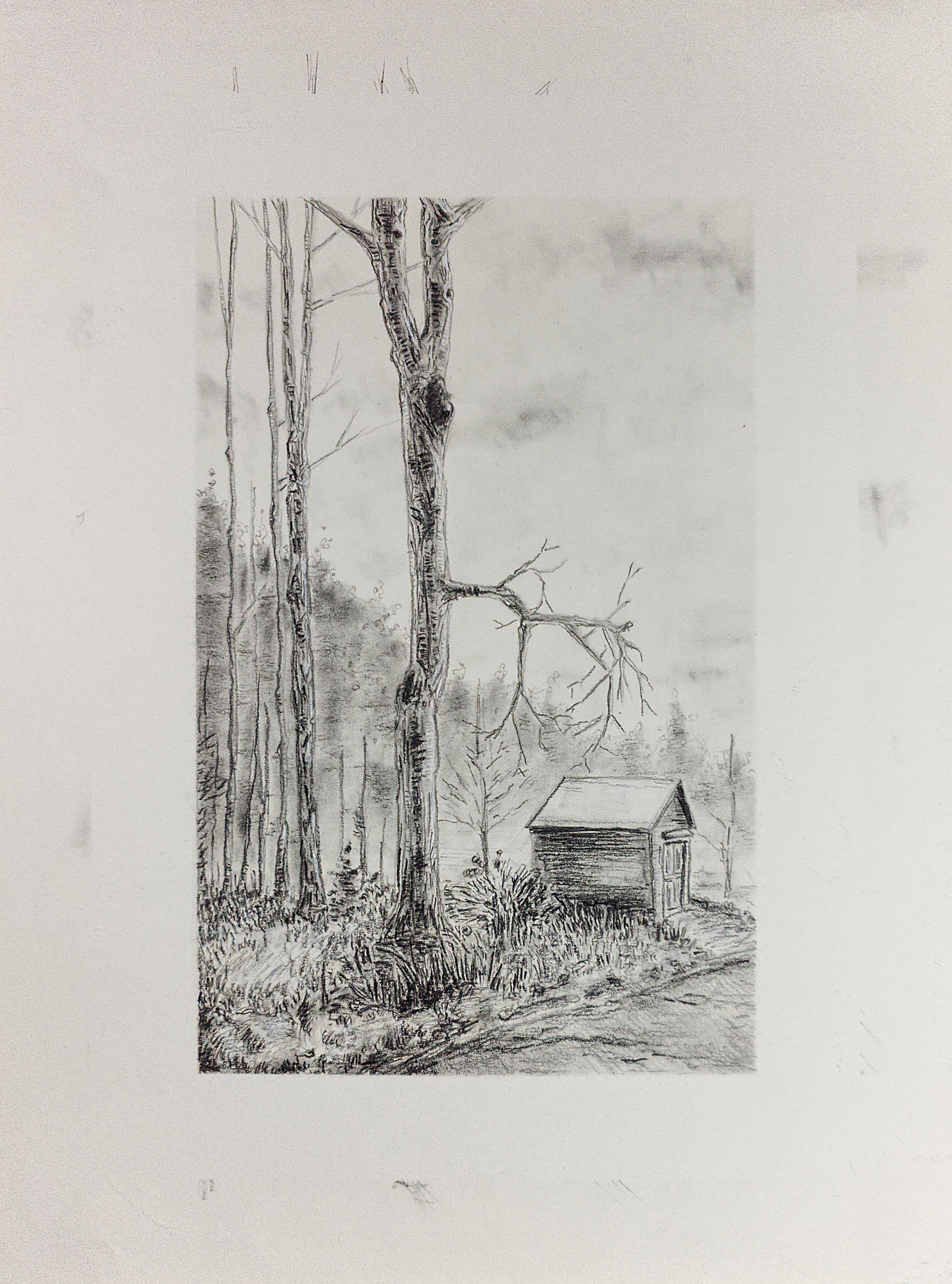 Illustration: Southern Barn in Late Winter