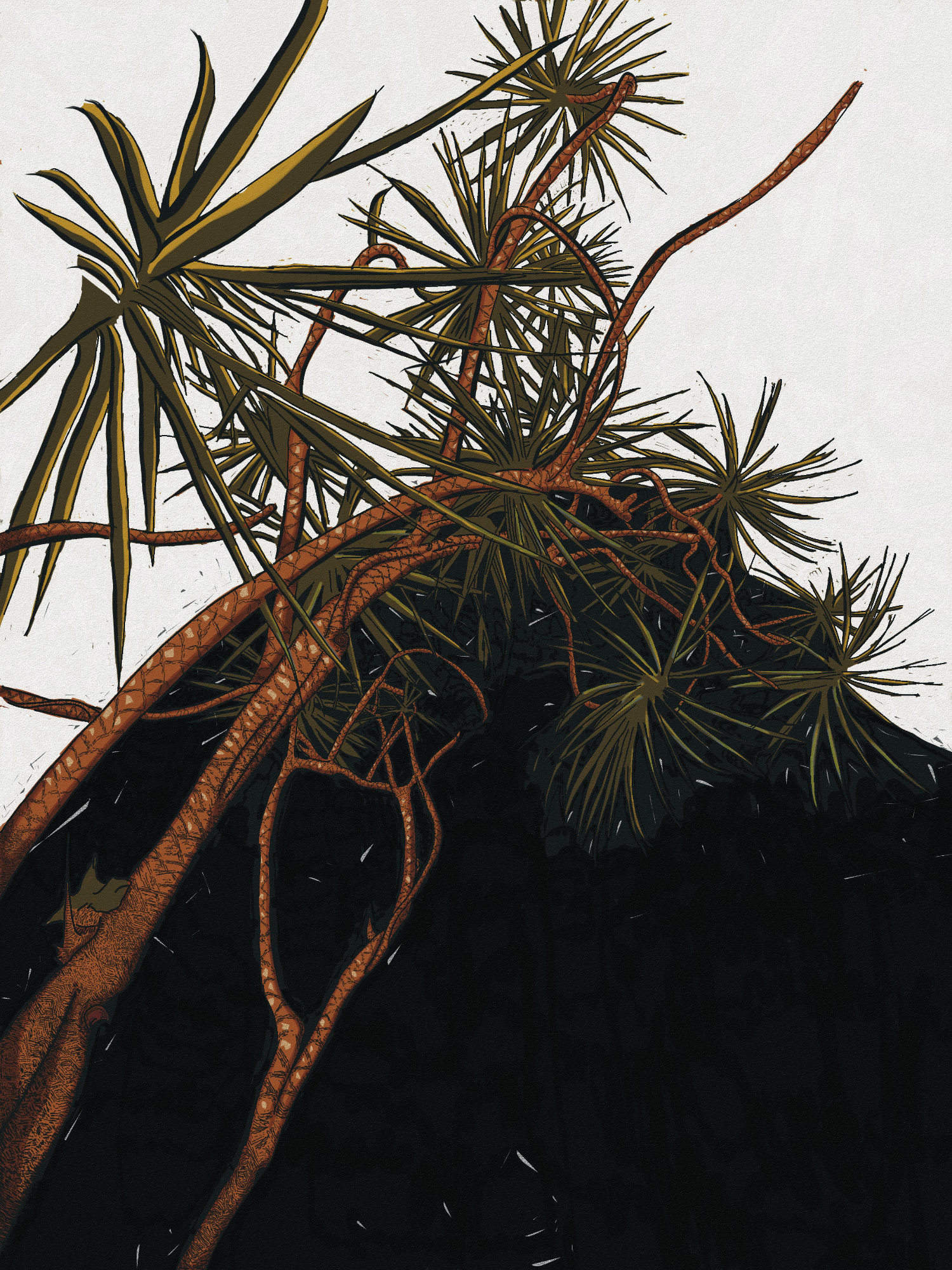 Dragon Tree