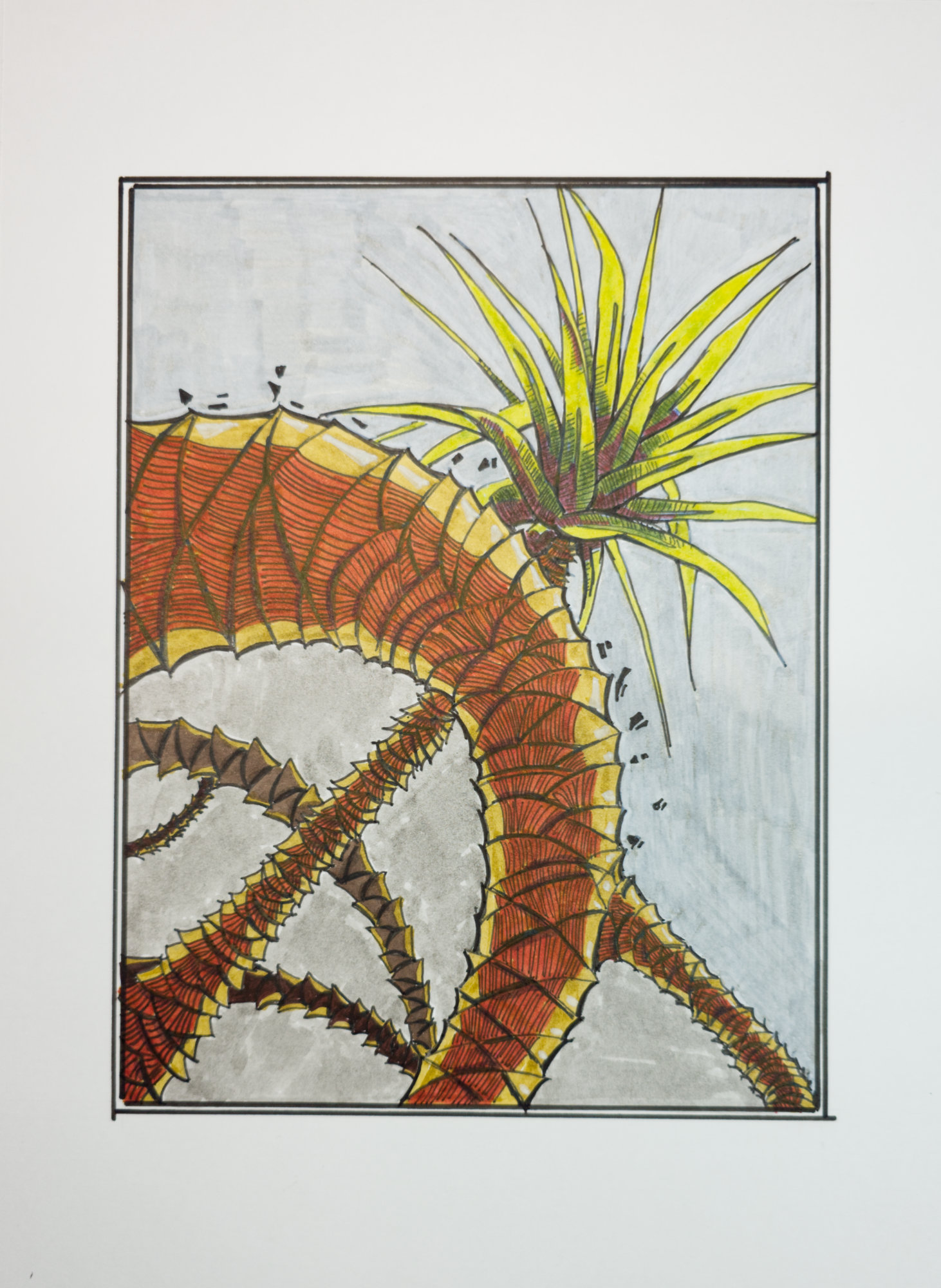 Illustration of Dragon Tree