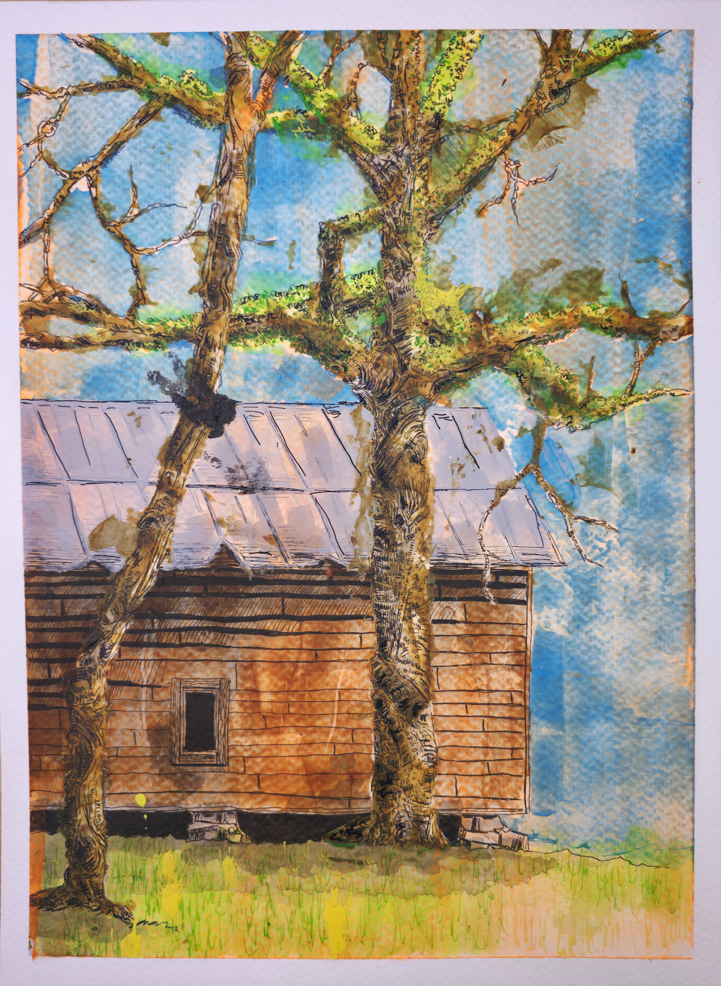 Old Live Oak