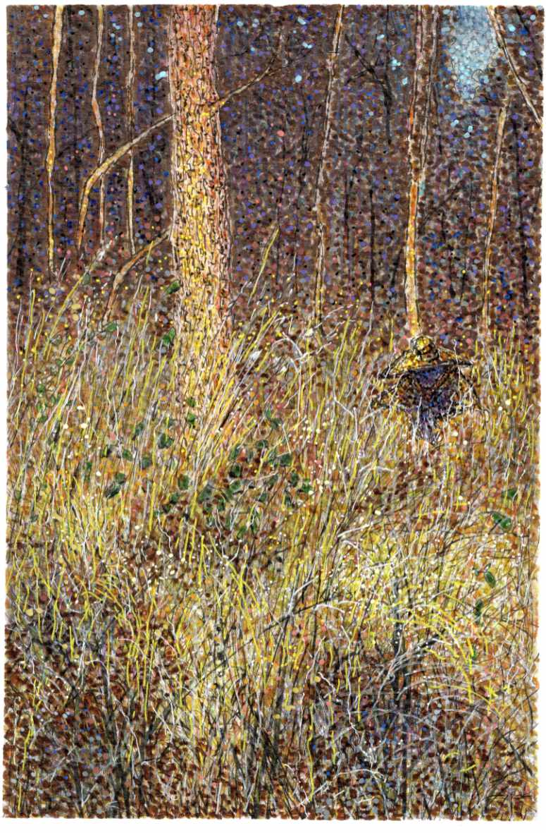 The Yellow Hat