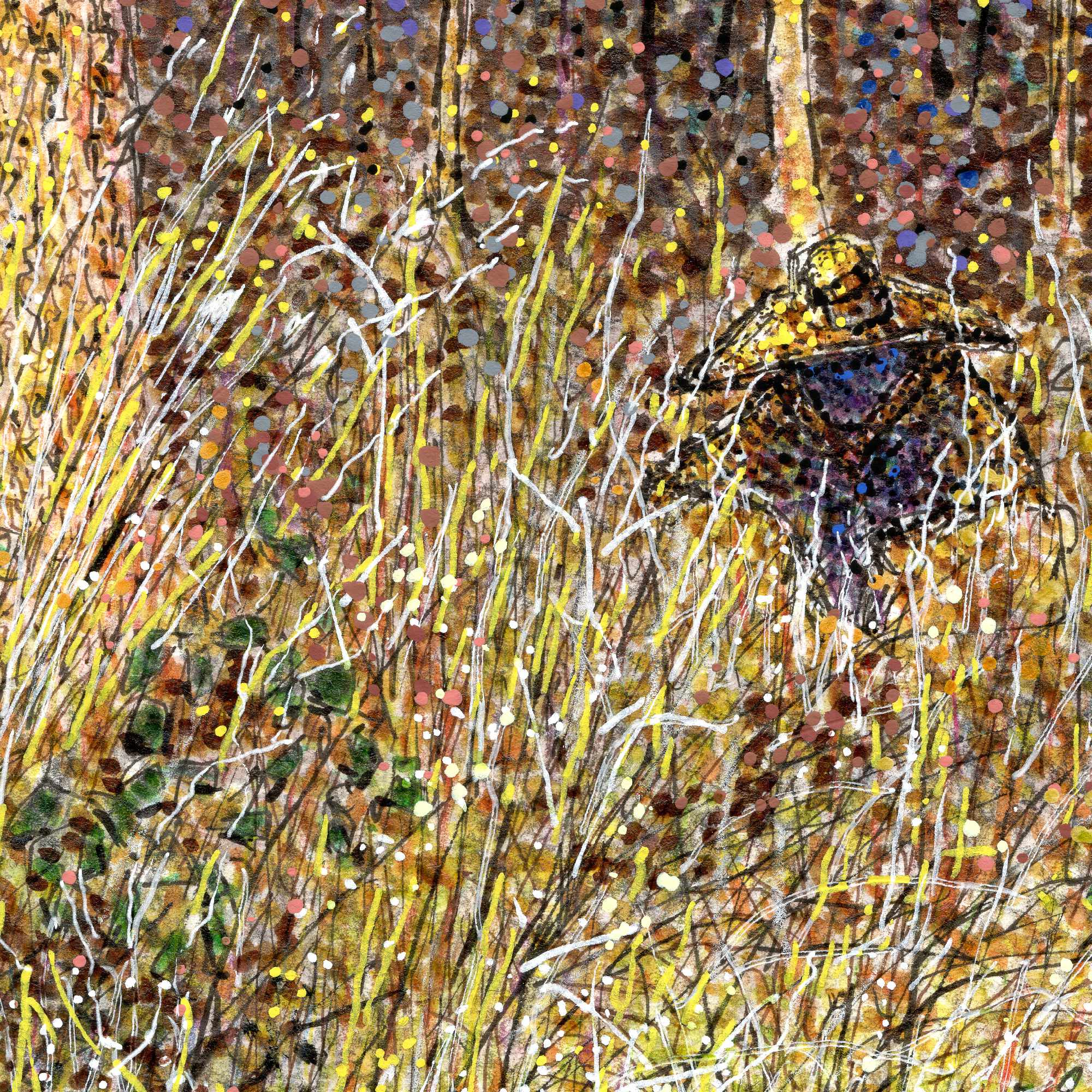 The Yellow Hat - Close1