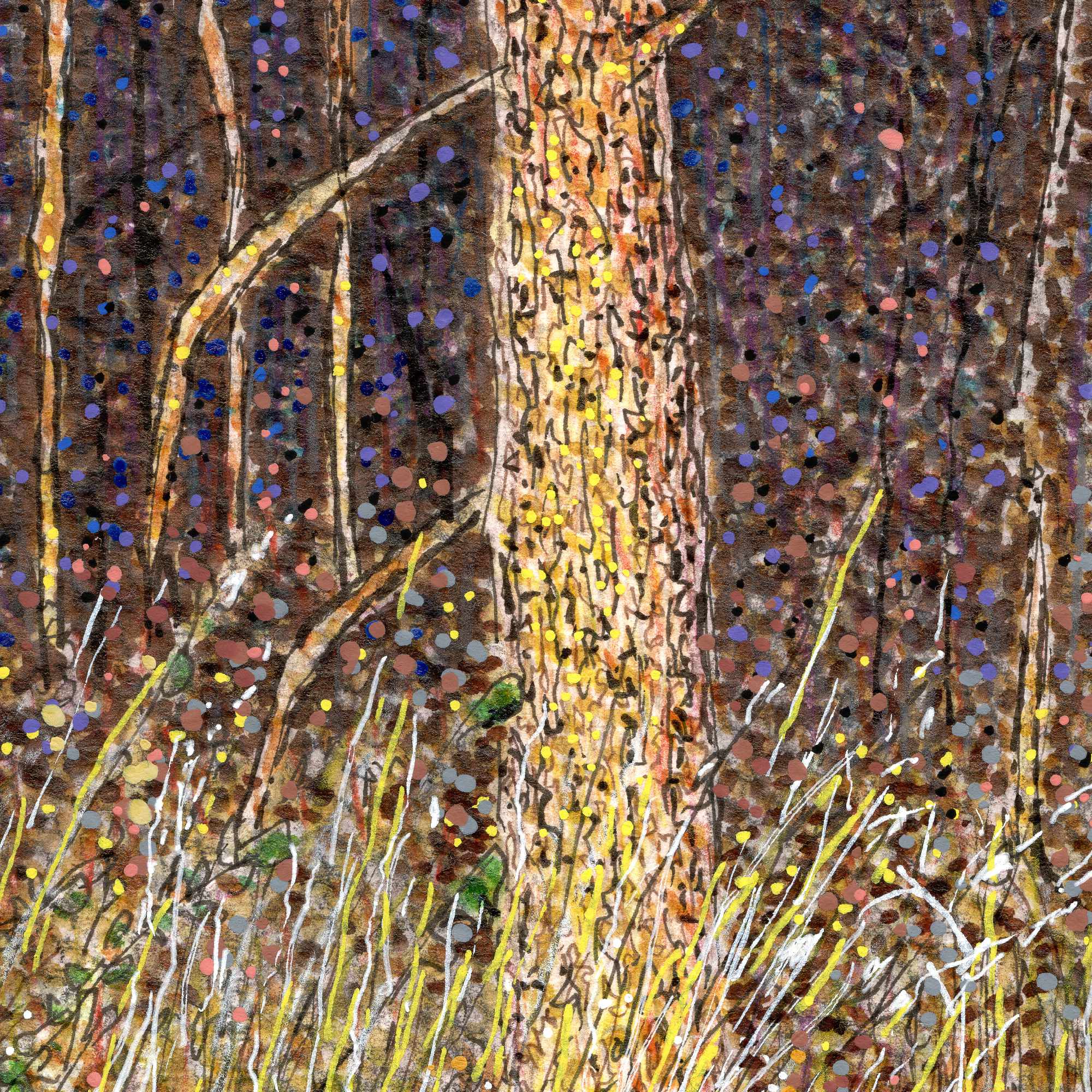 The Yellow Hat Close2