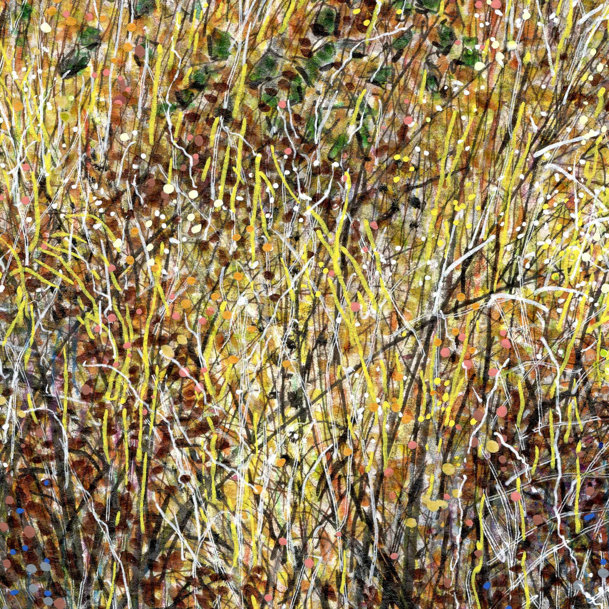 The Yellow Hat Close3