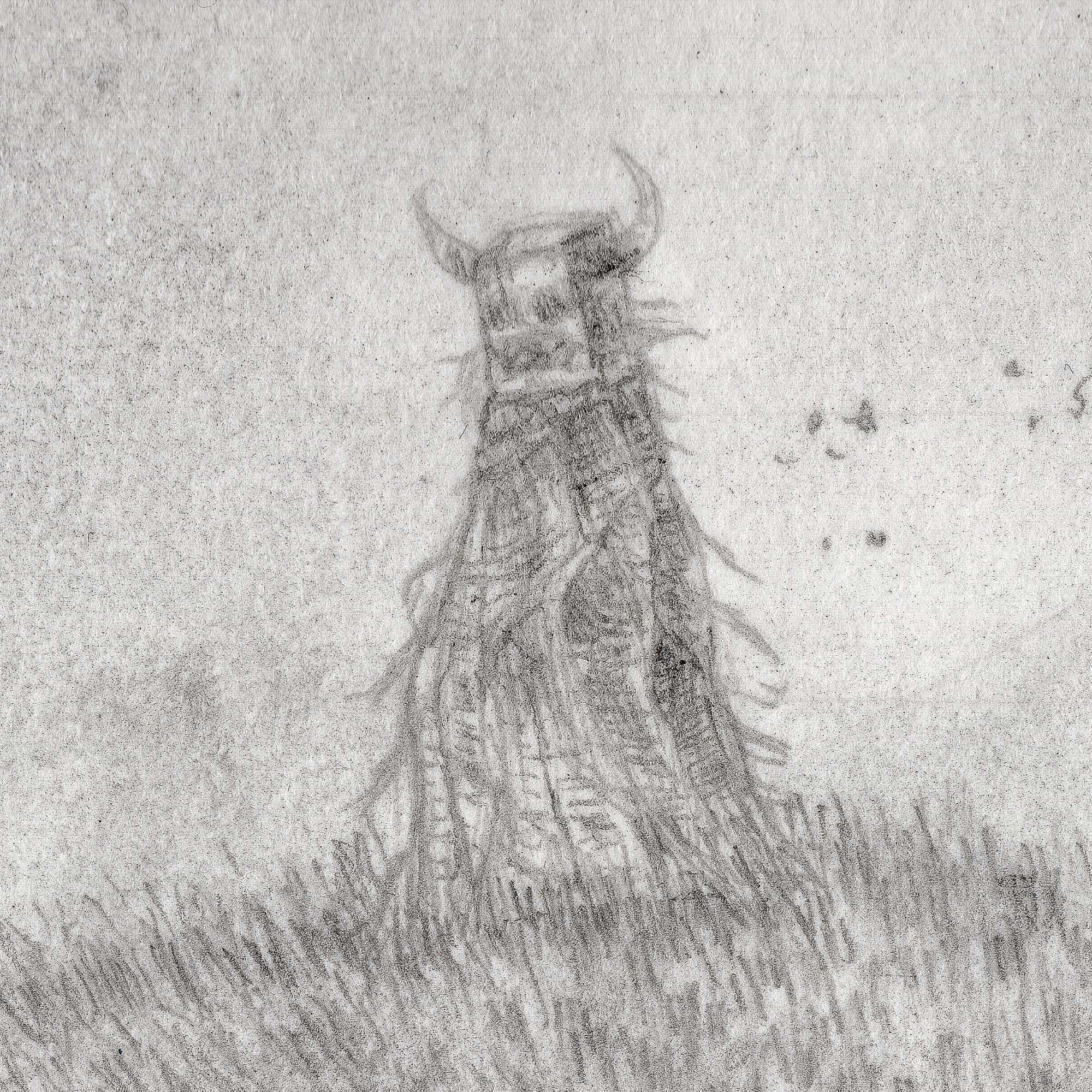 2606_Sedge-Walking-Graphite-Close1
