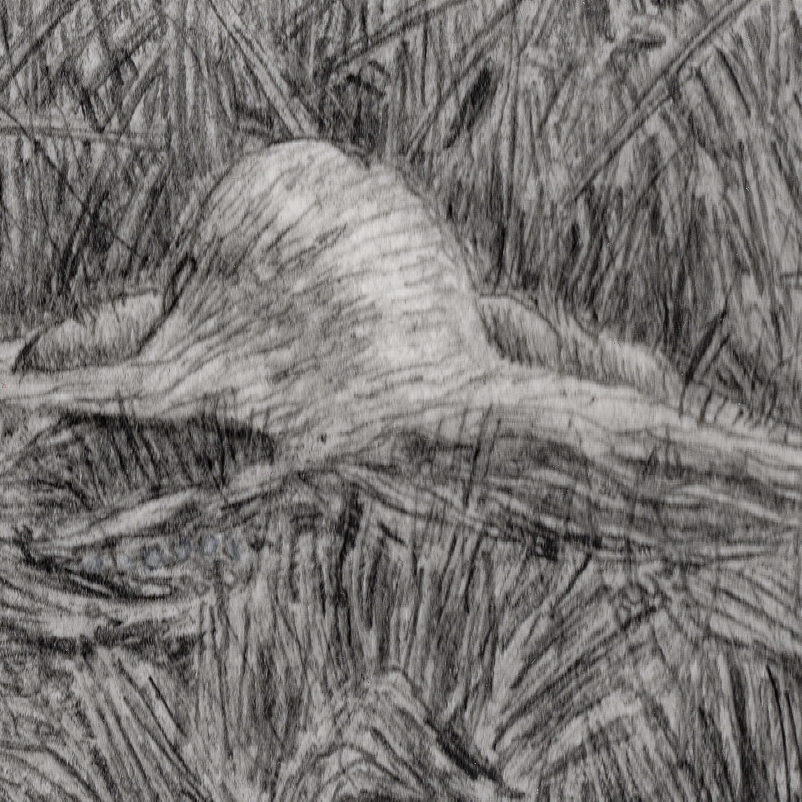 2606_Sedge-Walking-Graphite-Close2