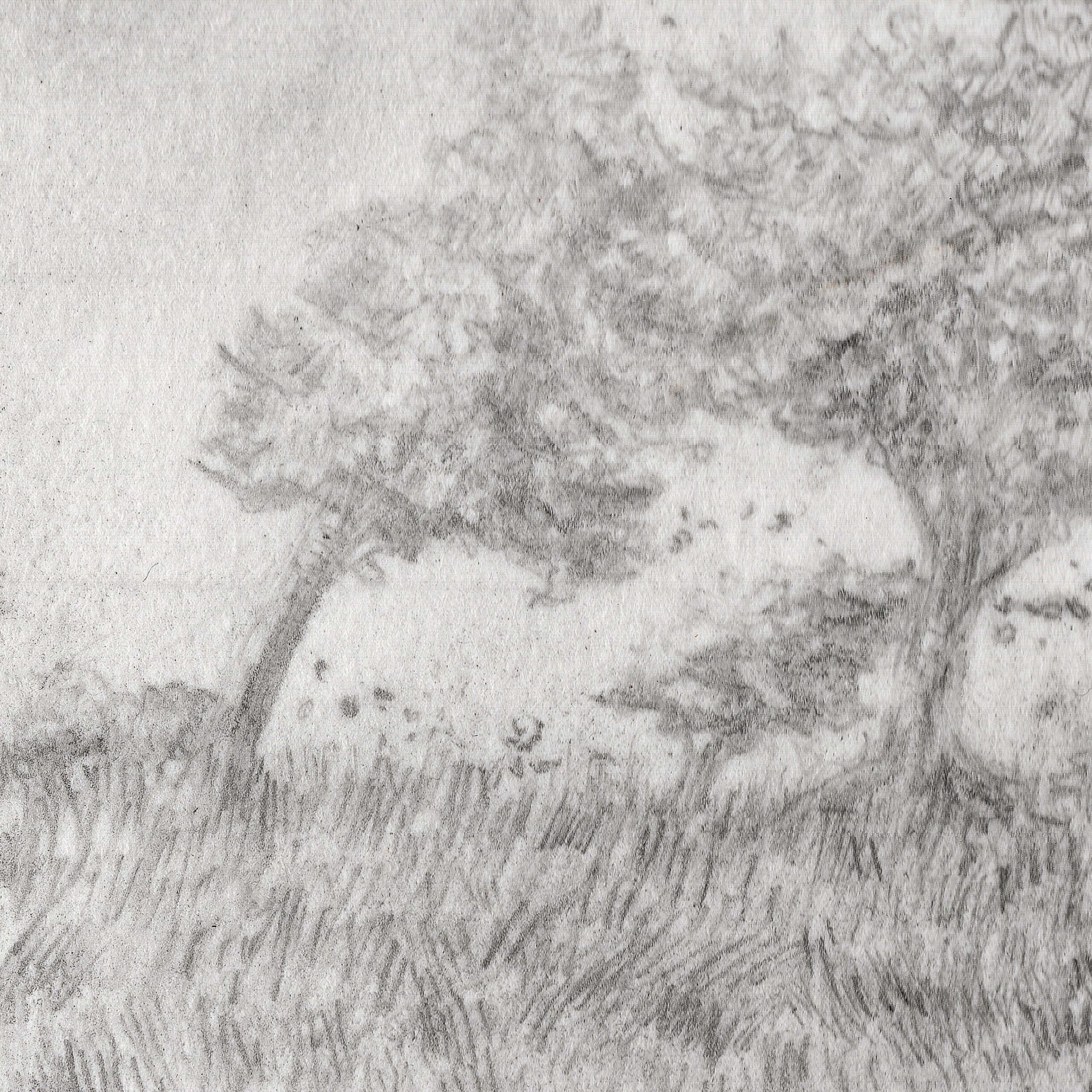 2606_Sedge-Walking-Graphite-Close3