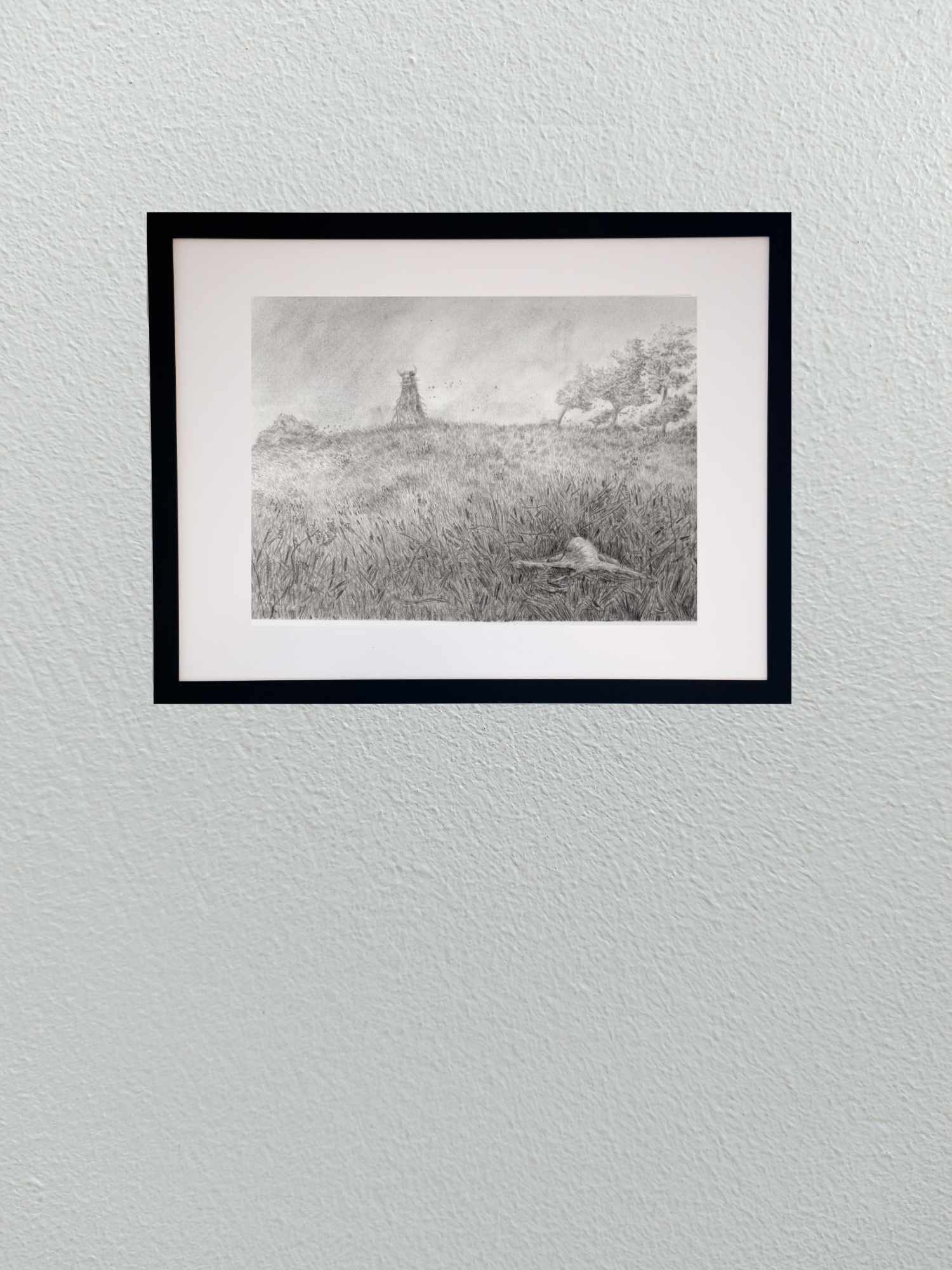 2606_Sedge-Walking-Graphite-Distance