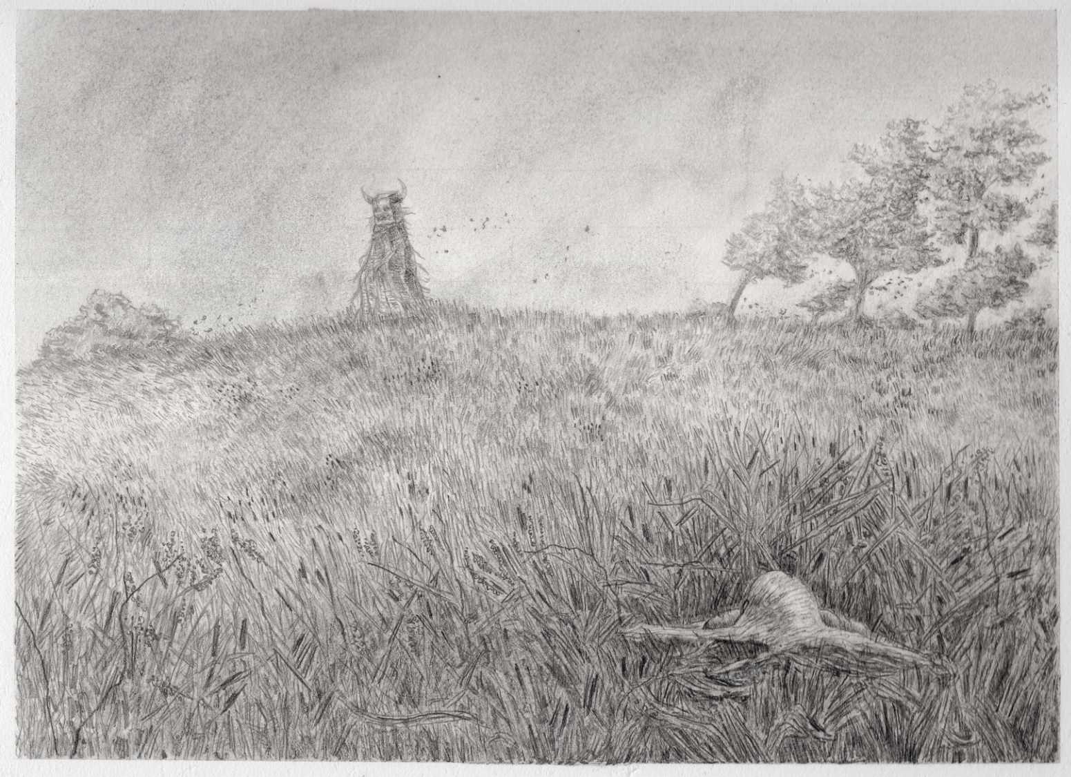 Sedge Walking