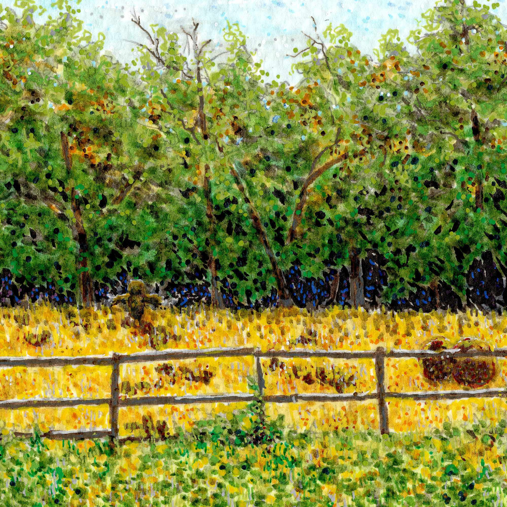 2606_the fence line-close1