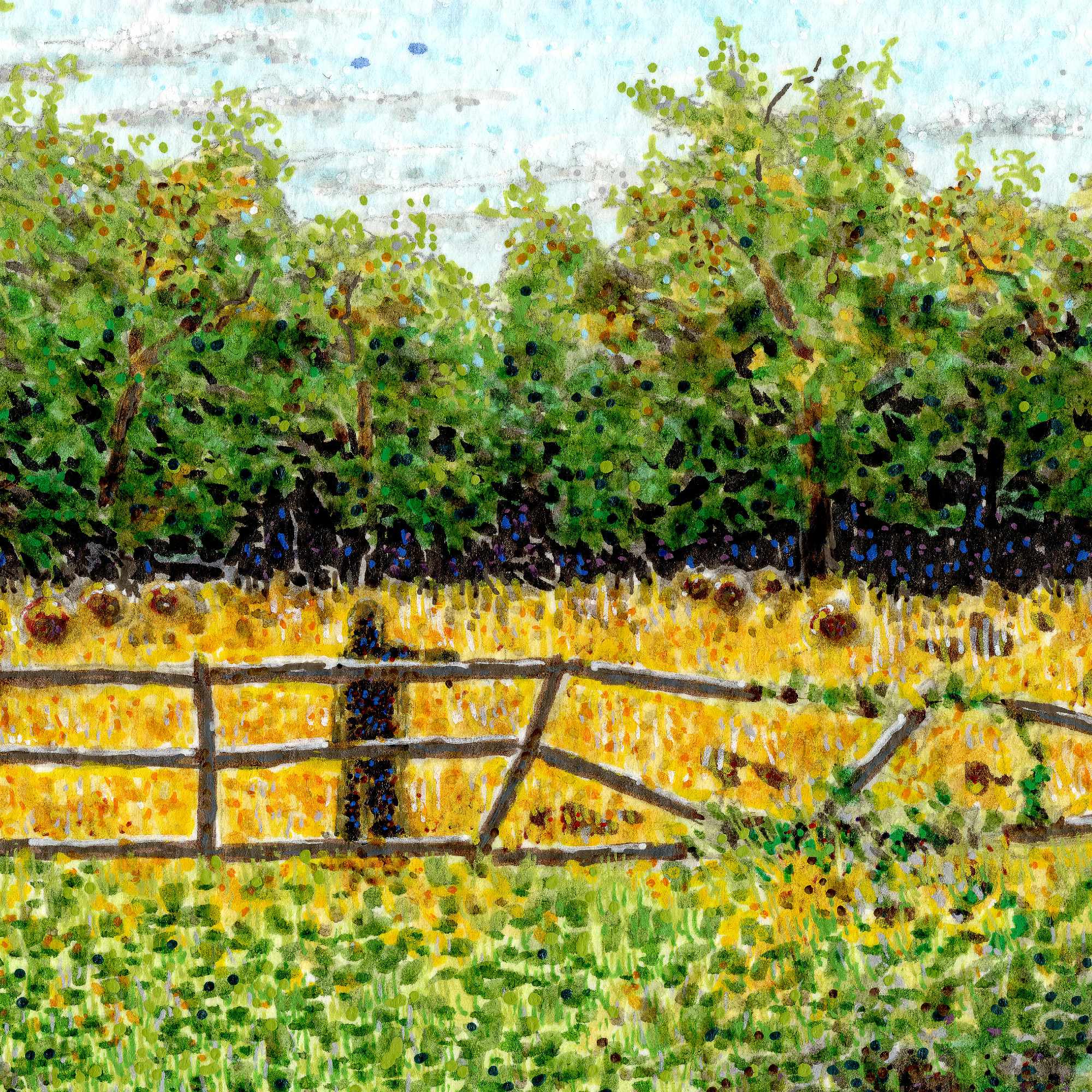 2606_the fence line-close2