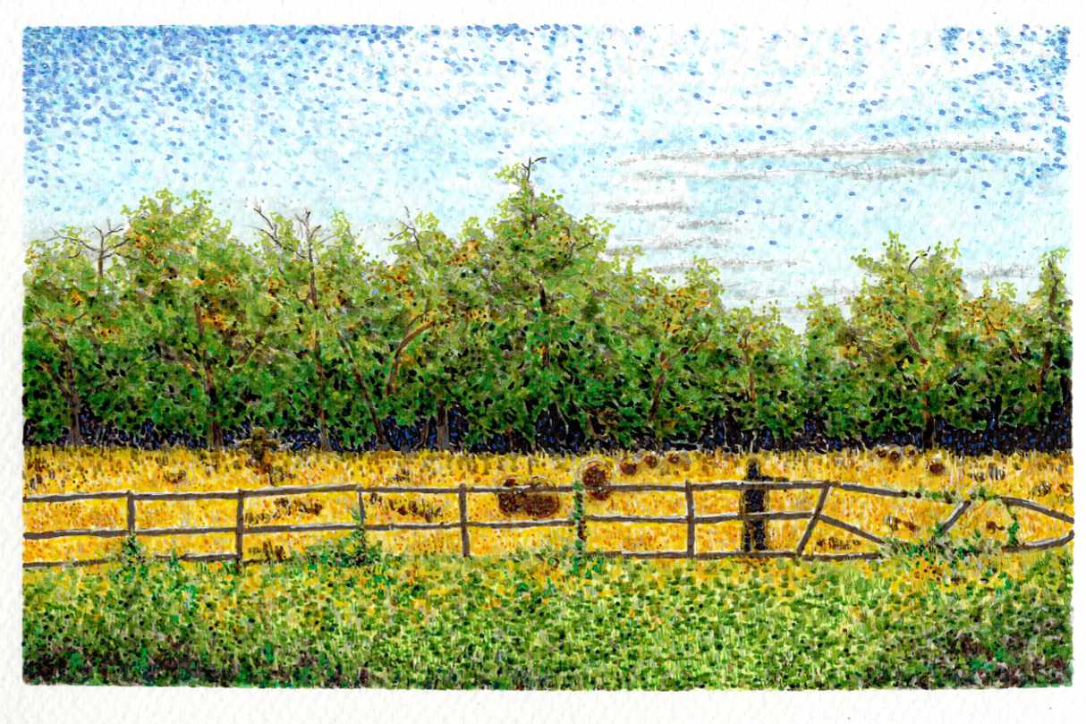 The Fence Line