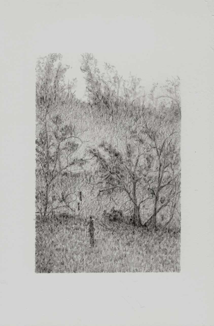 Flight Along the Hillside