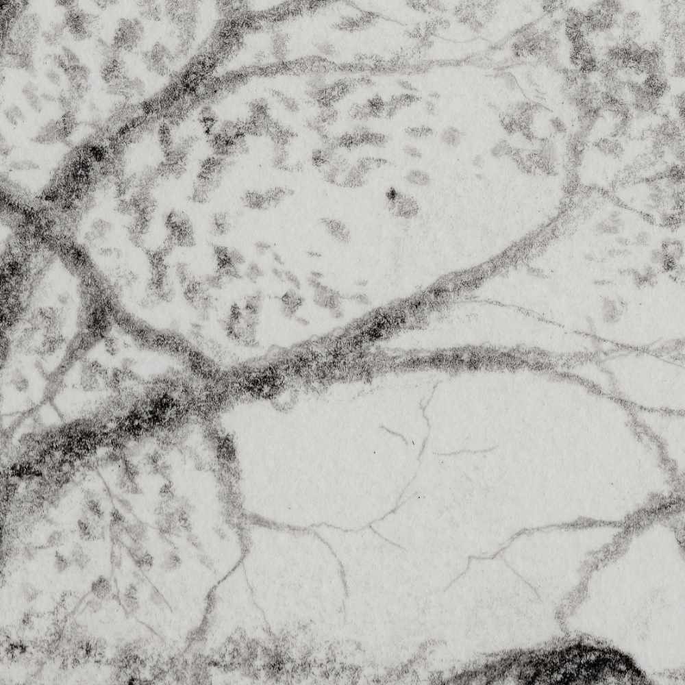 2608_Quiet-Boundary_Close3