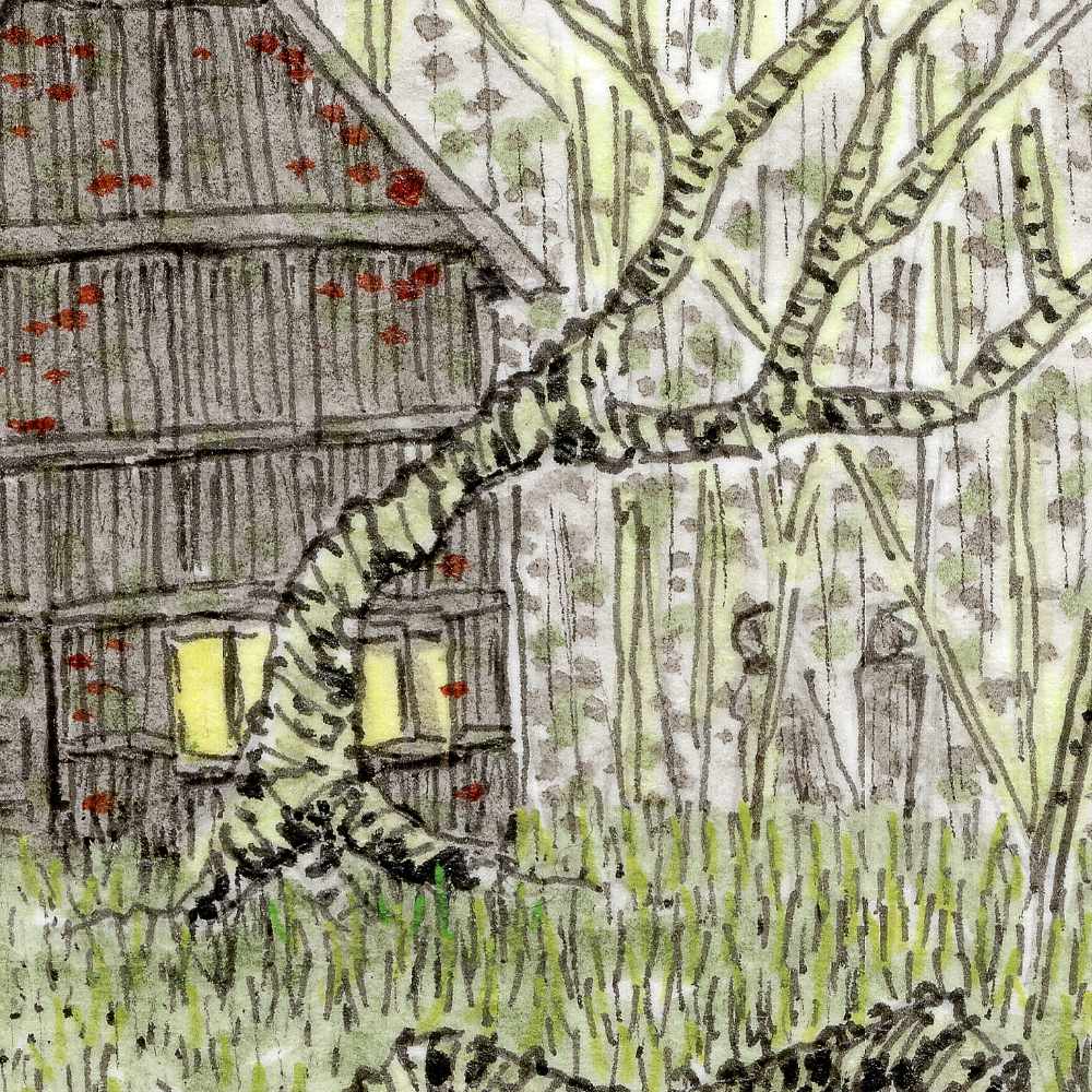 2608_Swamp-Fugue_Close1