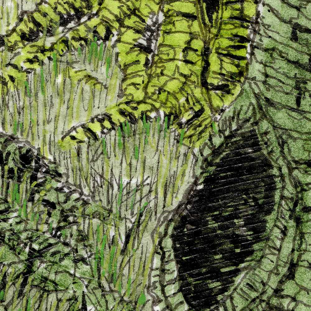 2608_Swamp-Fugue_Close3